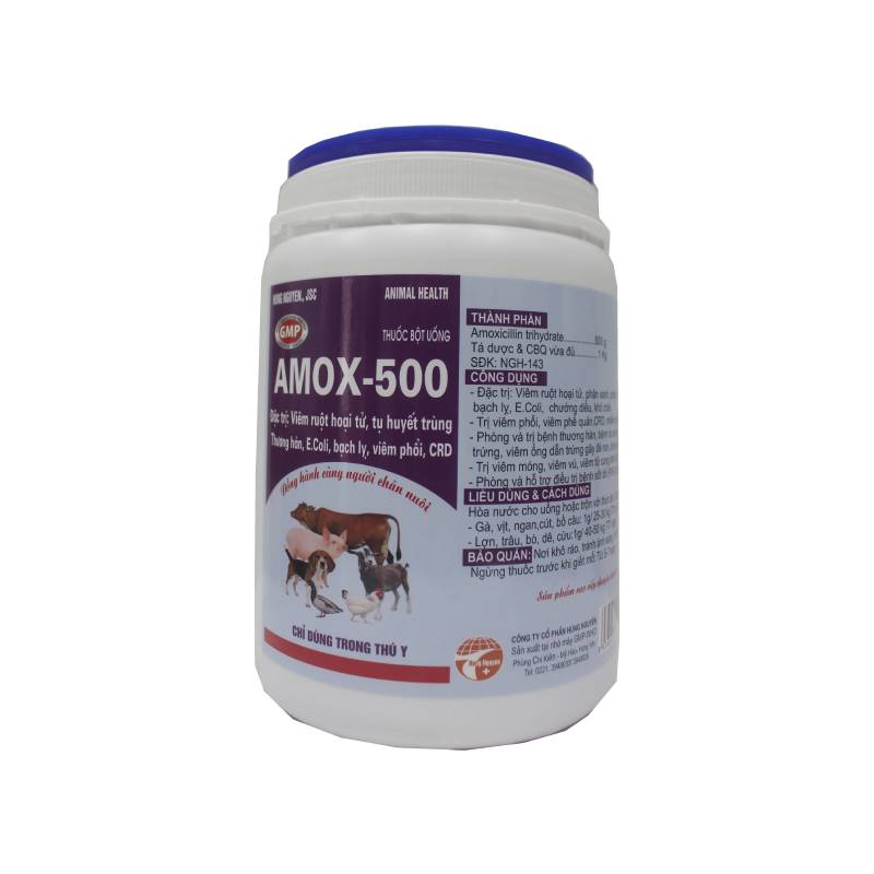 ​AMOX – 500