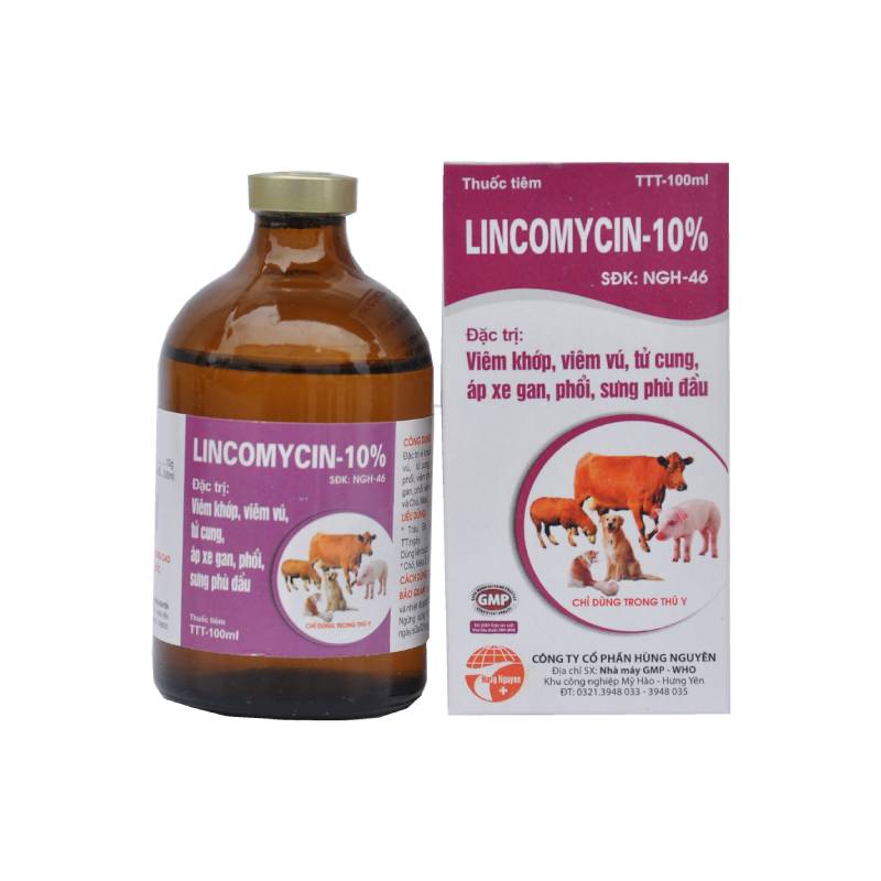 ​LINCOMYCIN – 10%