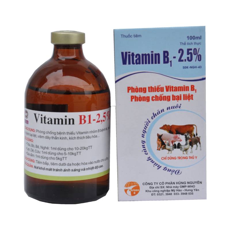 ​VITAMIN B1 – 2,5%